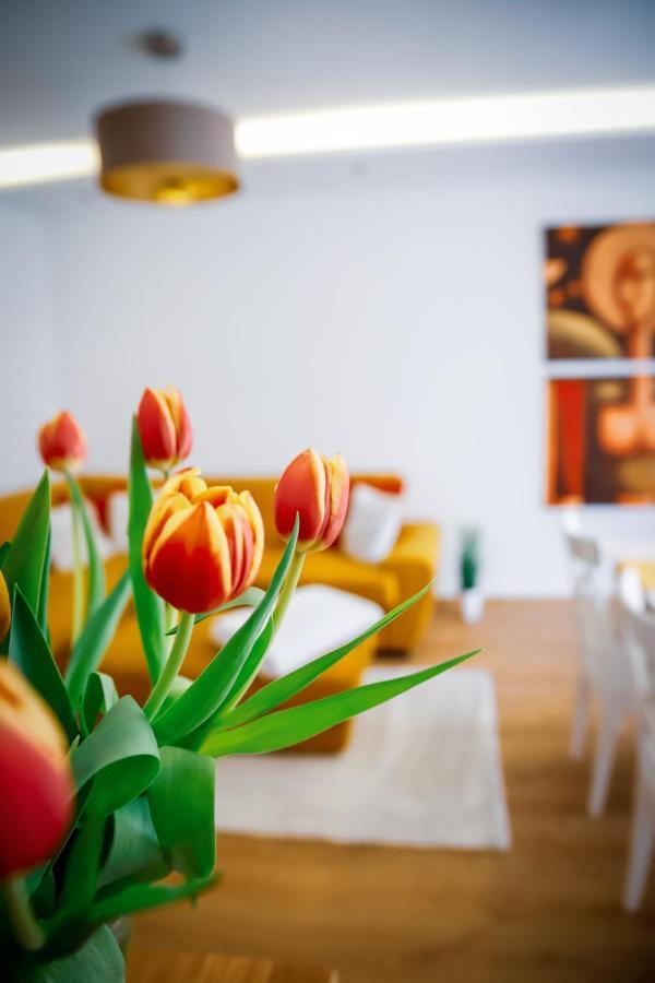 Cozy Apartment In The Downtown Дьёр Экстерьер фото